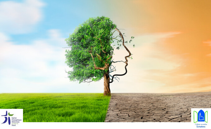 visuel des arbres qui marchent