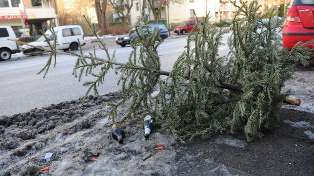 Sapin Noel jete